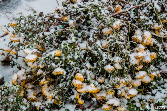Засніжений Луцьк. ФОТОРЕПОРТАЖ
