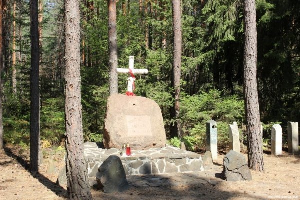Як скаути з Польщі  відзначали на Волині ювілей. ФОТО