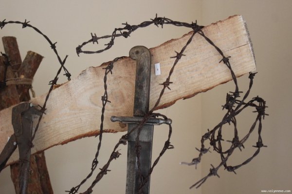 Як скаути з Польщі  відзначали на Волині ювілей. ФОТО