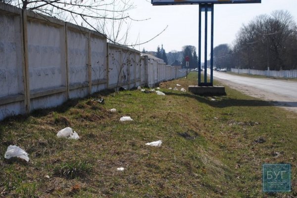 У Володимирі-Волинському хочуть карати штрафами за стихійне сміттєвивезення