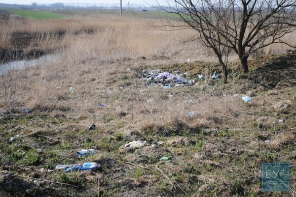 У Володимирі-Волинському хочуть карати штрафами за стихійне сміттєвивезення