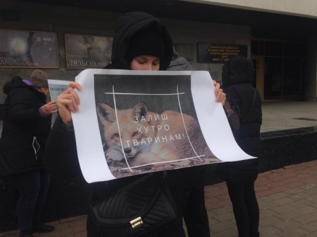 Електричний струм та газова камера: у Луцьку розповідають, як на хутряних фермах вбивають тварин. ФОТО