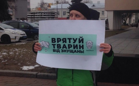 Електричний струм та газова камера: у Луцьку розповідають, як на хутряних фермах вбивають тварин. ФОТО