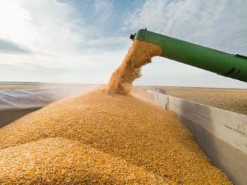 Скільки зерна вкрали російські окупанти в Україні 