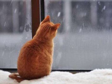 Погода у Луцьку на завтра, 6 січня