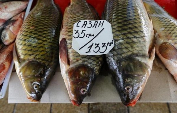 Життя у «новому» Криму. ФОТО