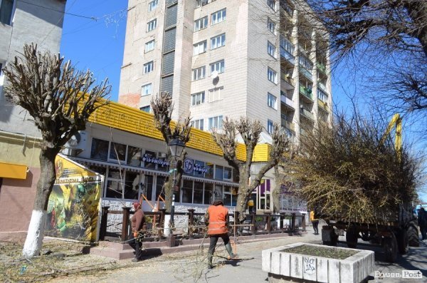 В центрі Луцька різали дерева. ФОТО