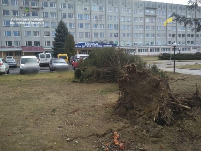 Повалений рекламний щит і побиті автівки: наслідки негоди у Луцьку. ФОТО