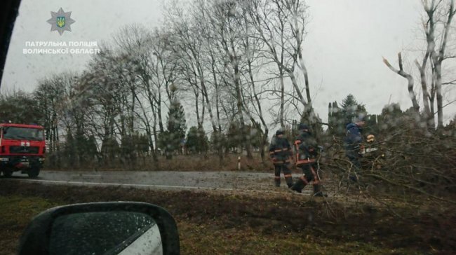 Повалений рекламний щит і побиті автівки: наслідки негоди у Луцьку. ФОТО