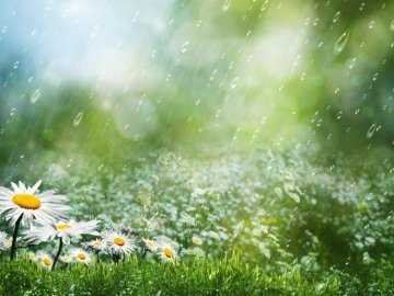 Погода в Луцьку та Волинській області на суботу, 4 липня