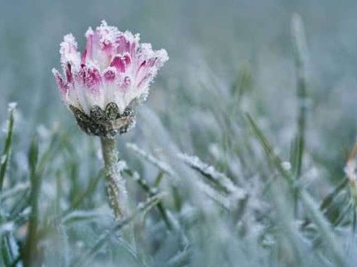 Від морозу до +29°С: температурні рекорди у травні на Волині