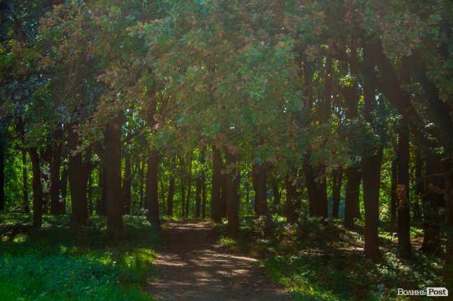 «Хто живе на ЛПЗ, тому у житті везе»: день на луцькому районі контрастів. ФОТО