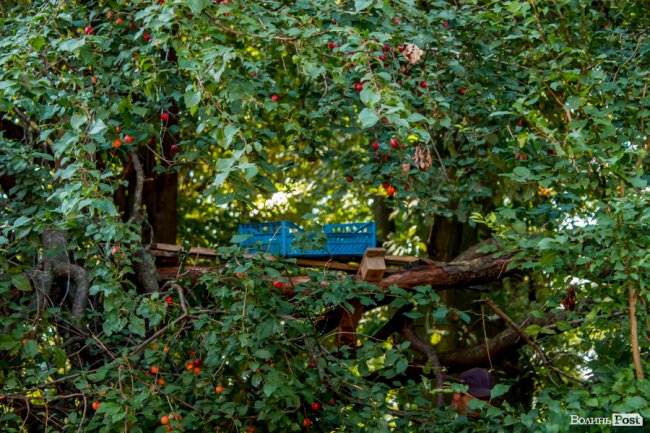 «Хто живе на ЛПЗ, тому у житті везе»: день на луцькому районі контрастів. ФОТО