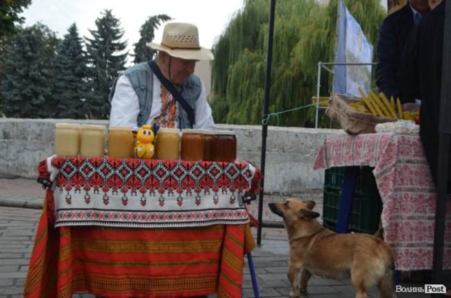 Луцьк святковий: як центр причепурився до відзначення Дня міста. ФОТО