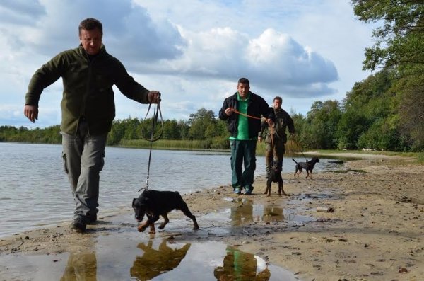 Чотирилапі переможці змагань «Кубку Полісся 2015»