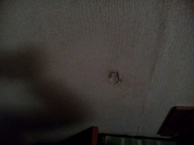 Сморід та дірки у стінах: у мережу виклали жахливі фото із готелю у Ковелі 