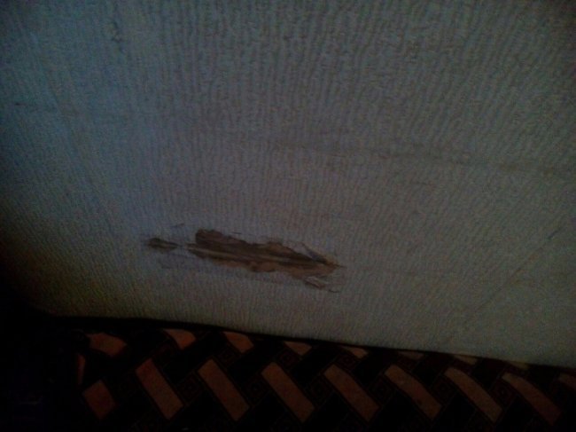 Сморід та дірки у стінах: у мережу виклали жахливі фото із готелю у Ковелі 