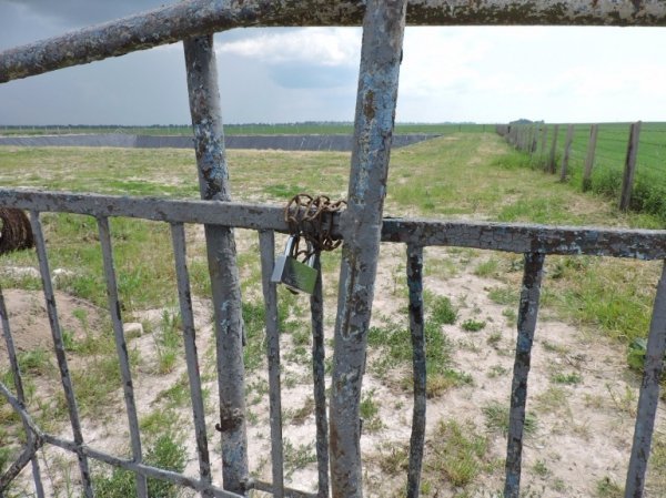 На фермі депутата Волинської обласної ради загинула людина. ФОТО