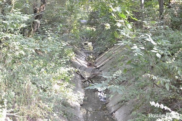 Луцький парк перетворився на смітник, бо нікому доглядати. ФОТО