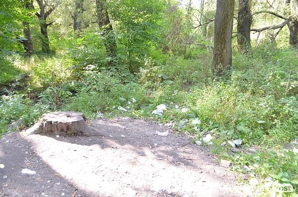 Луцький парк перетворився на смітник, бо нікому доглядати. ФОТО
