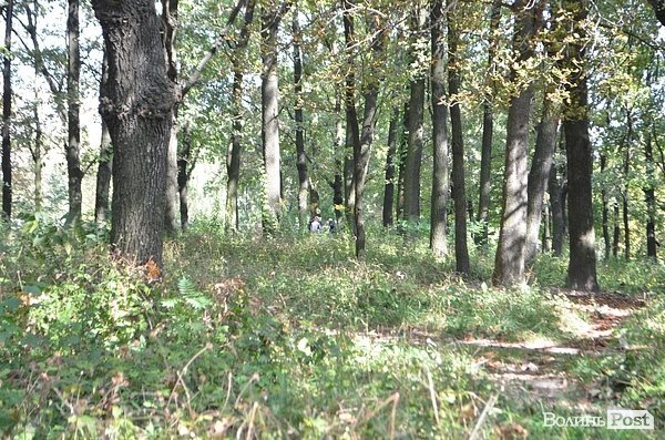 Луцький парк перетворився на смітник, бо нікому доглядати. ФОТО