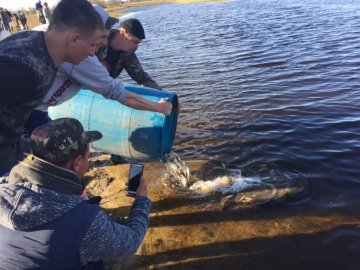 У річку Стохід випустили 130 кілограмів коропа та білого амура