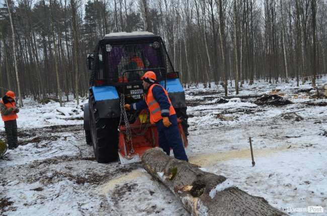 Жнива у зимовому лісі: як на Волині заготовляють деревину. ФОТО