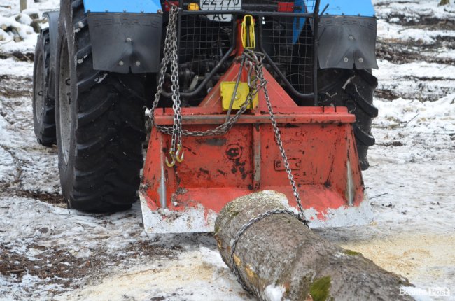 Жнива у зимовому лісі: як на Волині заготовляють деревину. ФОТО