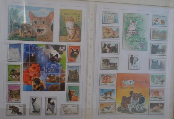 Виставка поштових марок «Свійські тварини» у Луцьку. ФОТО