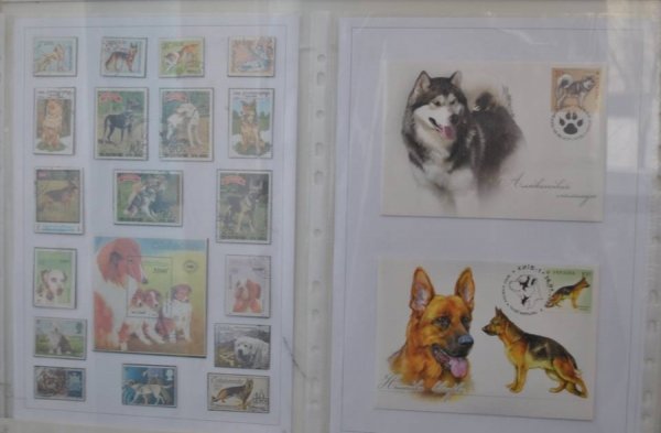 Виставка поштових марок «Свійські тварини» у Луцьку. ФОТО