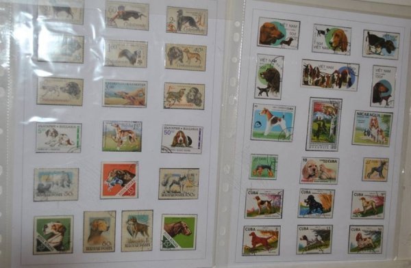 Виставка поштових марок «Свійські тварини» у Луцьку. ФОТО