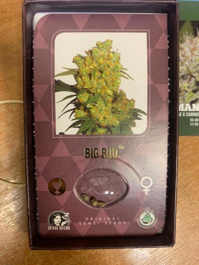 На «Ягодині» у авто знайшли декілька ящиків з насінням коноплі вартістю понад 1 мільйон. ФОТО