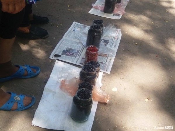 На Волині суничний бум – замість чорниці люди збирають «ягоду сонця». ФОТО