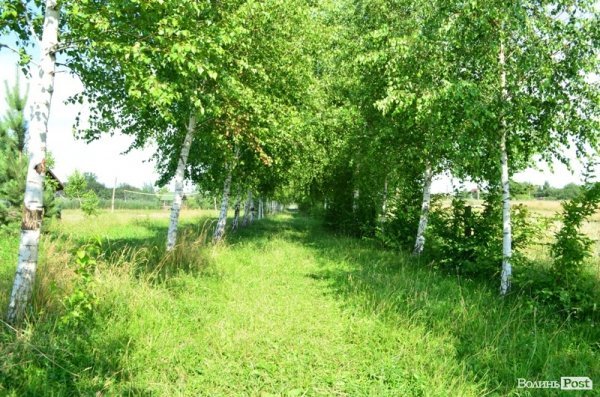 Відпочинок під Луцьком. Боголюби. ФОТО