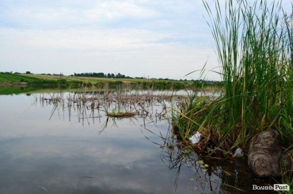 Відпочинок під Луцьком. Боголюби. ФОТО