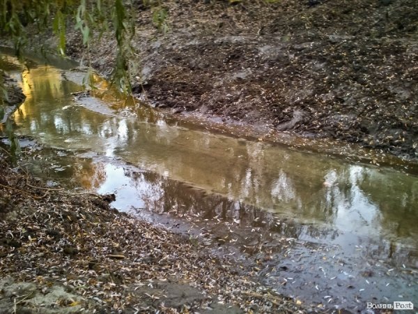 Сапалаївка від мосту на проспекті Відродження до Теремнівських ставків