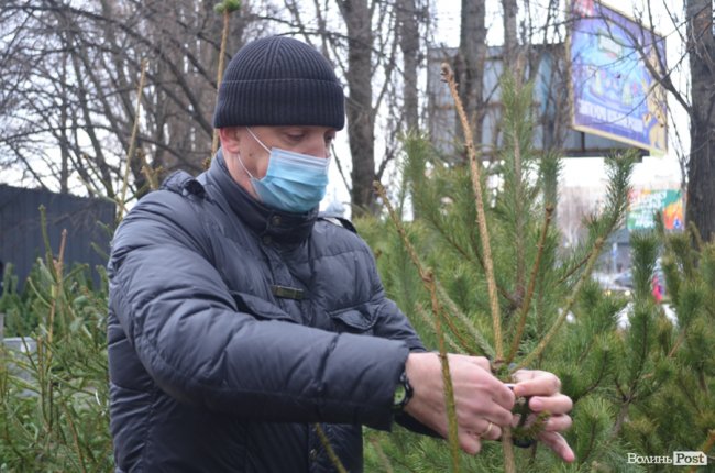 У Луцьку тривають рейди на ялинкових ринках. ПЕРШІ РЕЗУЛЬТАТИ
