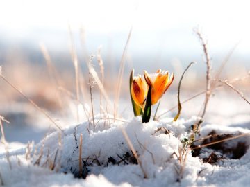 Погода в Луцьку та Волинській області на вівторок, 27 березня