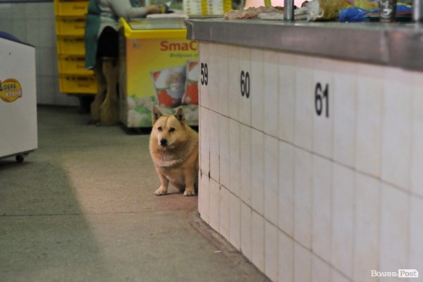 Завокзальний ринок. БУДНІ МІСТА