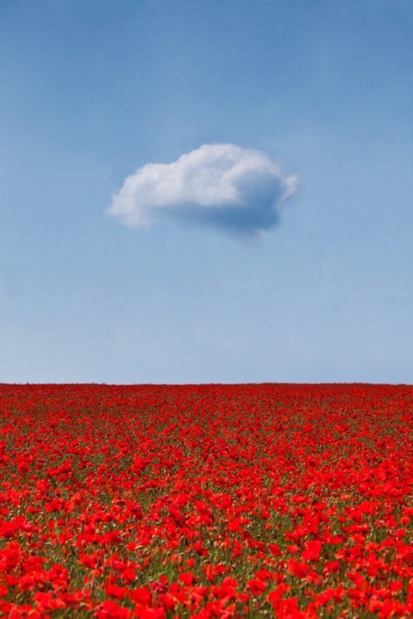 Захоплюючі знімки для любителів мінімалізму. ФОТО