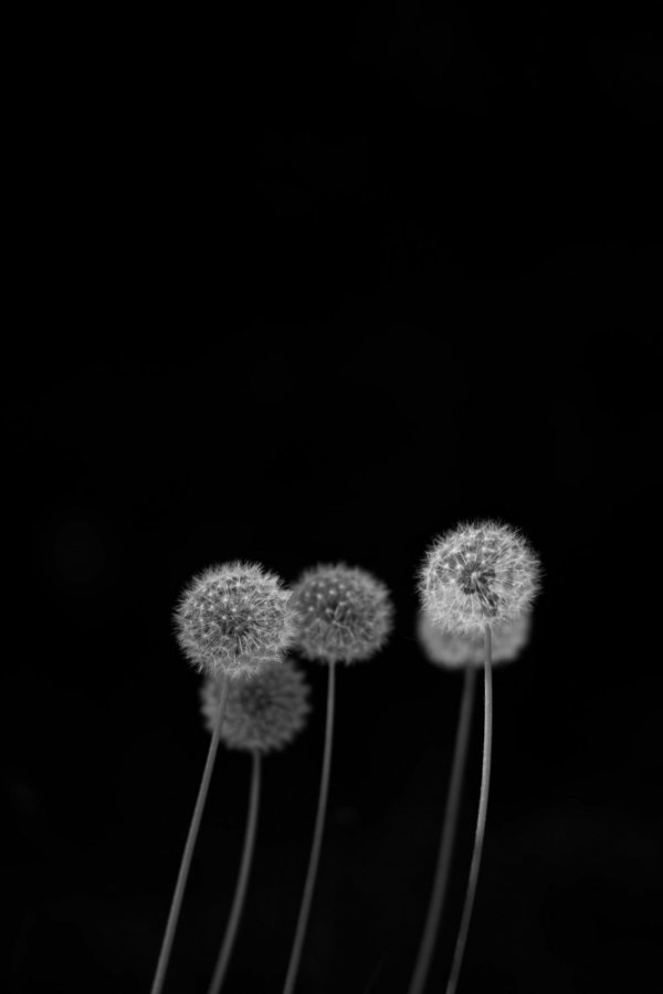 Захоплюючі знімки для любителів мінімалізму. ФОТО