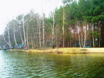 На Волинь на пленер художників з'їхались митці з усієї України