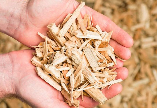 Зима близько: що таке альтернативне паливо і «з чим його їдять» на Волині