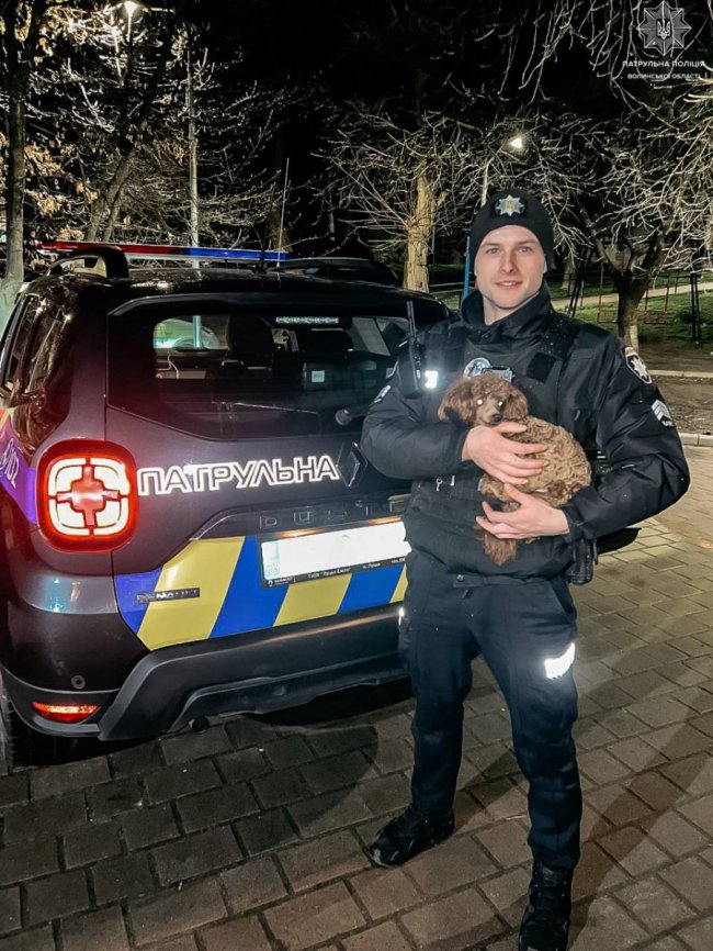 Зворушливий збіг обставин: у Луцьку господарям повернули зниклого песика