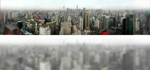 Яким бачать світ коти. ФОТО