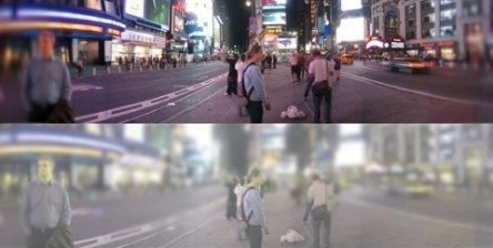 Яким бачать світ коти. ФОТО