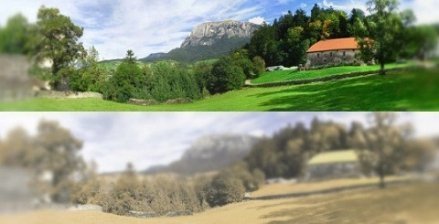 Яким бачать світ коти. ФОТО