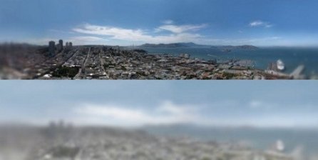 Яким бачать світ коти. ФОТО