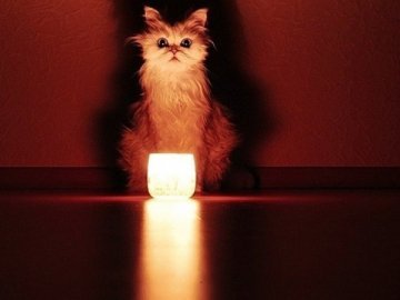 Де на Волині та у Луцьку не буде світла 16 липня