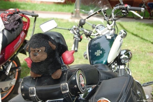 Зліт байкерів у Нововолинську. ФОТО